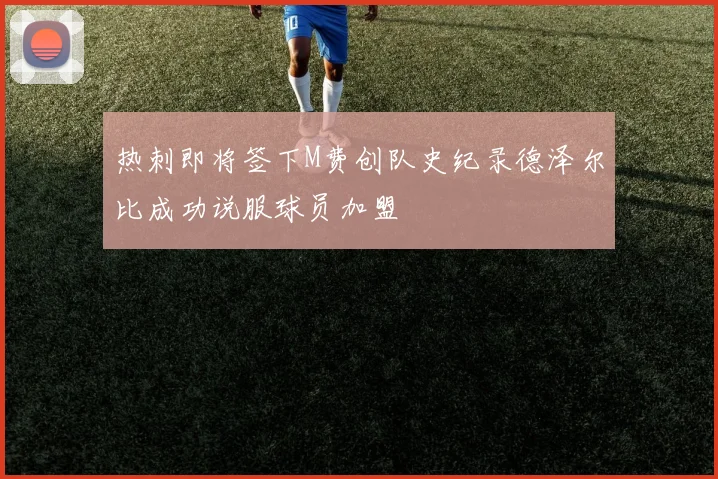 热刺即将签下M费创队史纪录德泽尔比成功说服球员加盟
