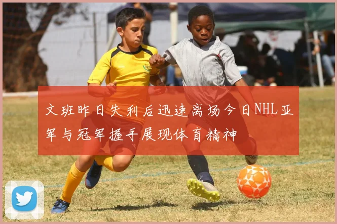 文班昨日失利后迅速离场今日NHL亚军与冠军握手展现体育精神